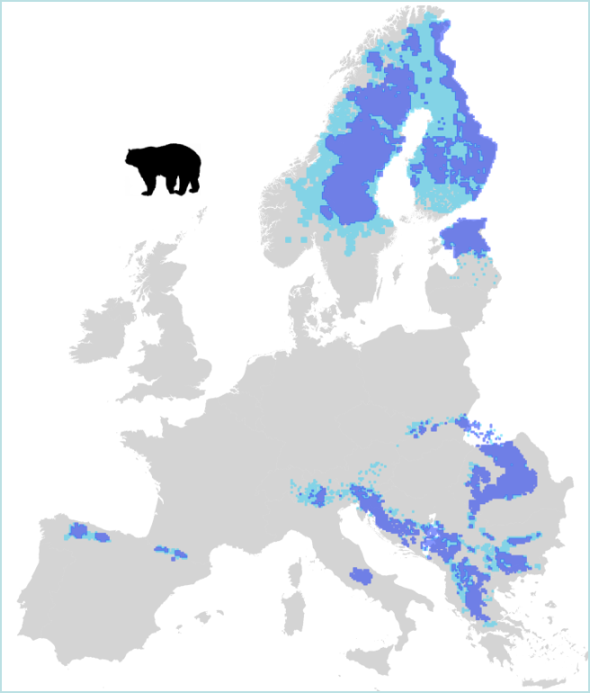 European results